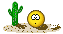 Kang Kang